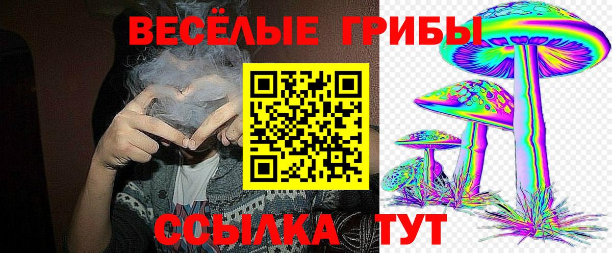 Галлюциногенные грибы мухоморы Кудымкар